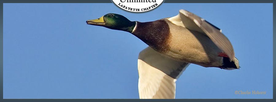 Ducks Unlimited (Indiana Chapter)